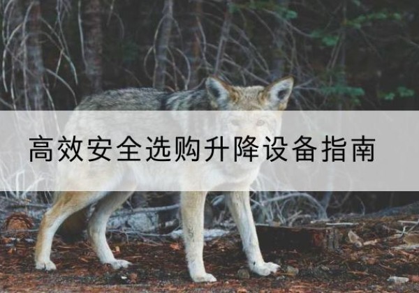 厦门升降货梯厂家推荐-*安全选购升降设备指南