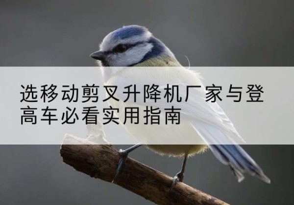 厦门电动升降机厂家-选移动剪叉升降机厂家与登高车必看实用指南